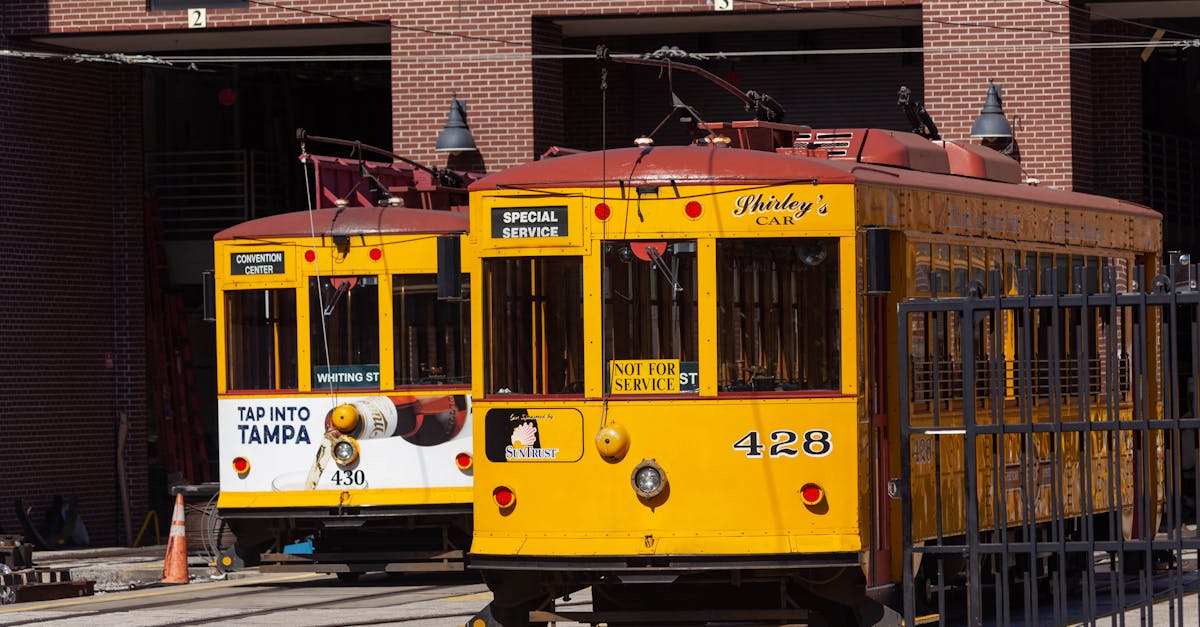 How to Plan a Birthday on a Bus Party Bus in Tampa Bay